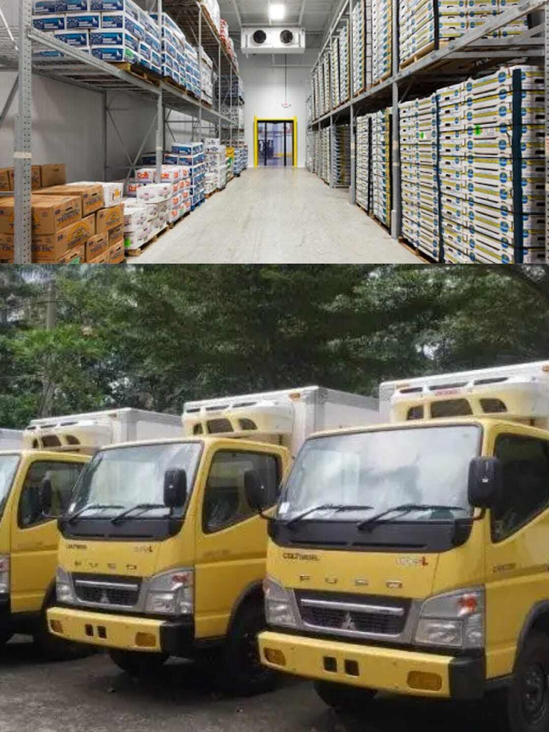 Jasa pengiriman frozen food Sumatera, Jawa, Bali. Jasa ekspedisi produk beku dengan truck berpendingin. Pengiriman makanan beku dengan truck reefer. Jasa ekspedisi produk segar dan beku antar pulau. Ekspedisi frozen food terpercaya Sumatera, Jawa dan Bali.